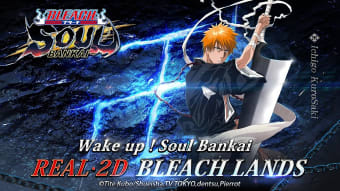 BLEACH:Soul Bankai