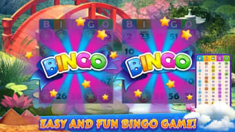 Bingo Cruise: Live Bingo Party