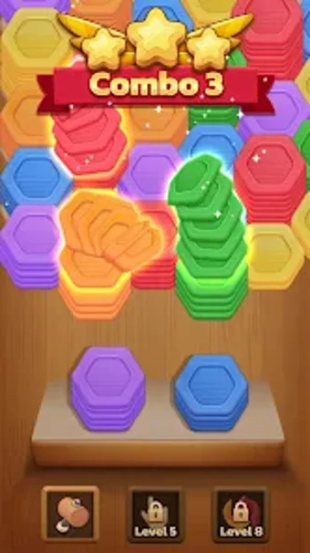 Wood Hexa Puzzle