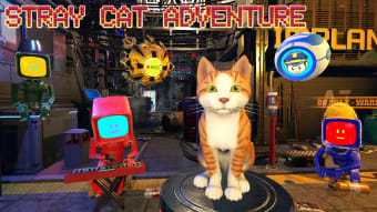 Stray Cat Adventure Simulator