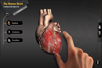 Explore the Heart in 3d