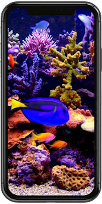 Real Aquarium Live Wallpaper