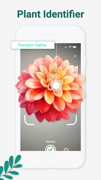 Plantifier: Plant Identifier