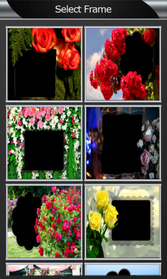 Rose Flower Photo Frames