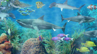 Shark aquarium live wallpaper