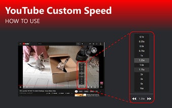 Youtube Custom Speed