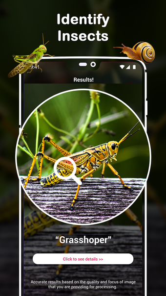 Insect Identifier : Insect ID AI Photo Camera