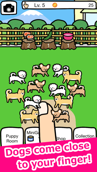 Play with Dogs - relaxing game