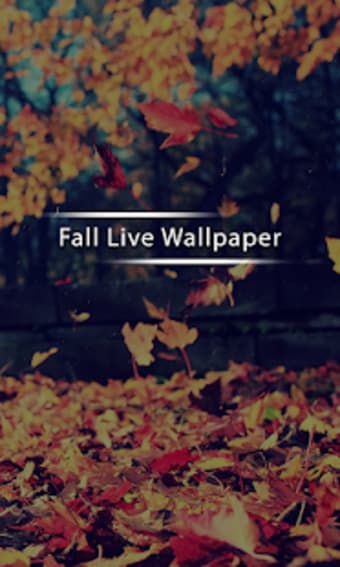 Fall Live Wallpaper