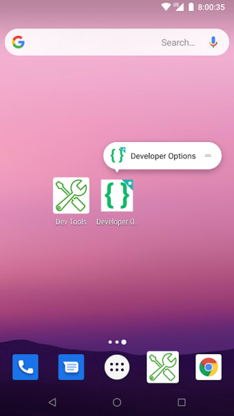 Developer Options