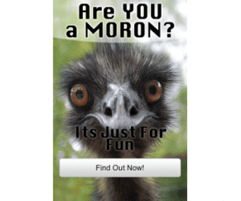 Are You A Moron?
