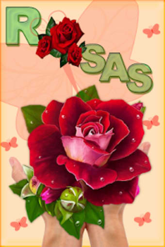 Rosas Con Frases Para Dedicar