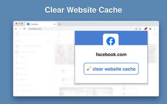 Clear Website Cache