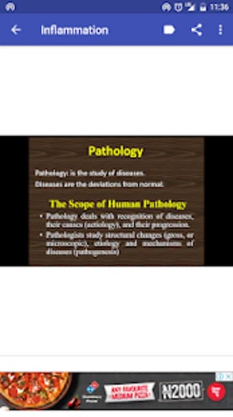 Parasitology and pathology