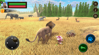 Safari Lion Simulator Game 3D