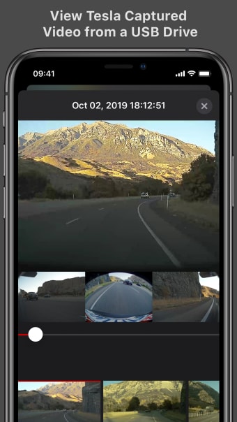 Cam Viewer for Tesla