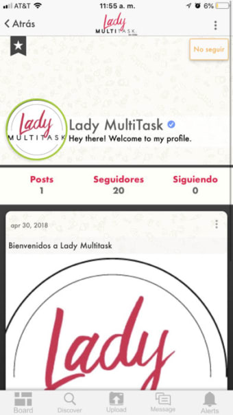 Lady Multitask