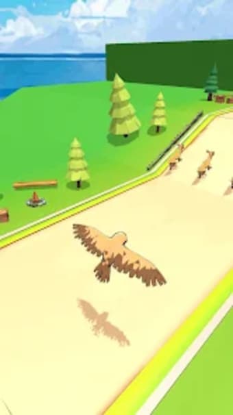 Animal Race-Flying Zoo