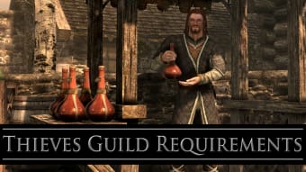Thieves Guild Requirements SE