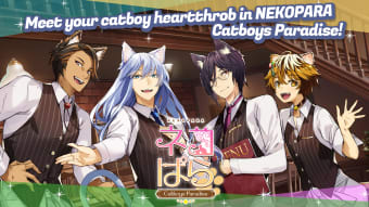 NEKOPARA - Catboys Paradise