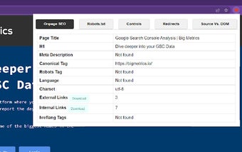 Big Metrics SEO Plugin