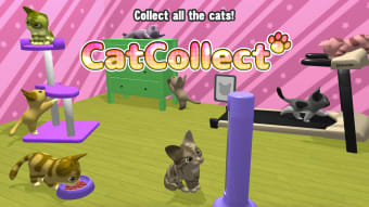 Cat Collect