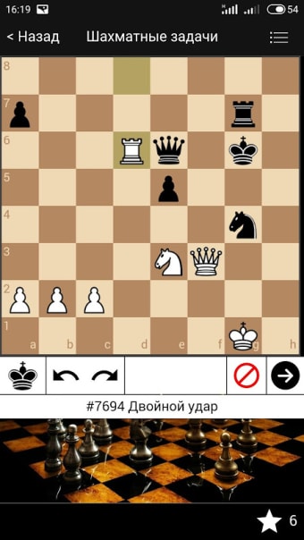 Шахматные задачи, тактика