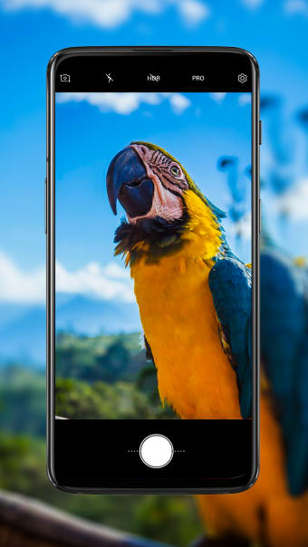Selfie phone 13 - OS 15 Camera
