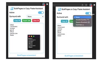 BulkPages.io Copy Paste Assistant