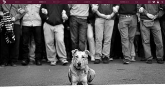 Imagen 0 para Disroot