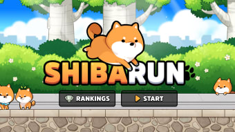 Shiba Run