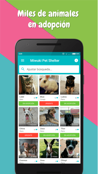 Miwuki Pet Shelter - Adopt a dog cat kitten puppy