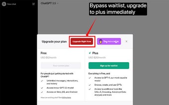 Chatgpt Plus Waitlist Skipper