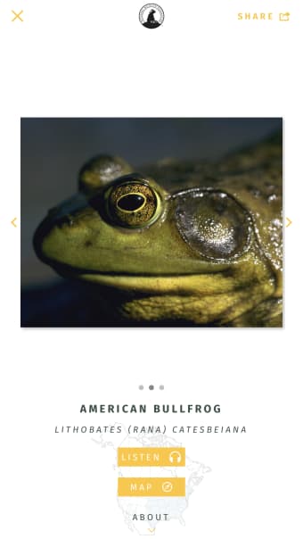 NWF Guide to Amphibians