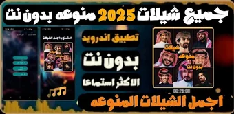 شيلات منوعه 2025 بدون نت