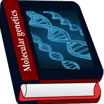 Molecular genetics