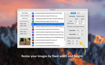 ImageSize - Batch Resize and Convert Photos