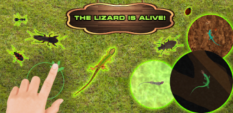 Lizard Simulator