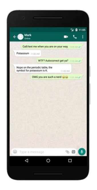 WhatsFake Fake Chat