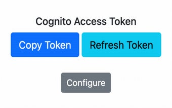 AWS Cognito Token