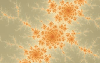 Scale: Beautiful Fractals