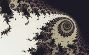 Scale: Beautiful Fractals