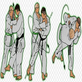judo technique