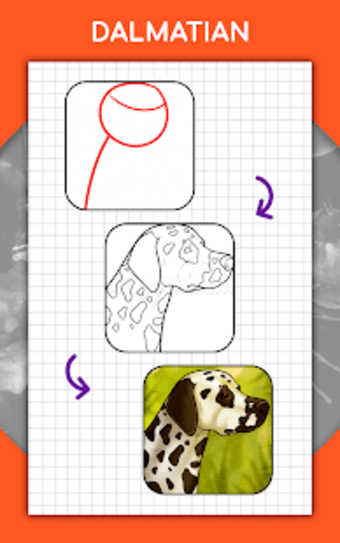 How to draw animals. Step by step drawing lessons