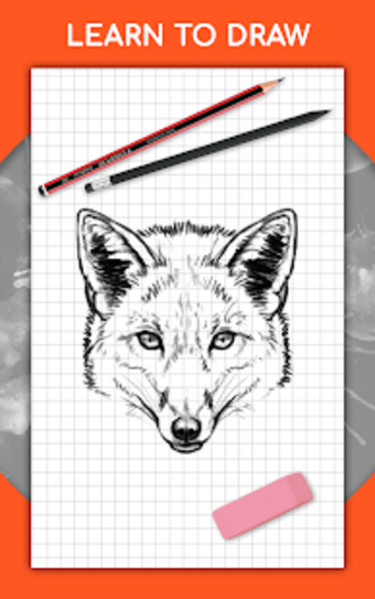 How to draw animals. Step by step drawing lessons