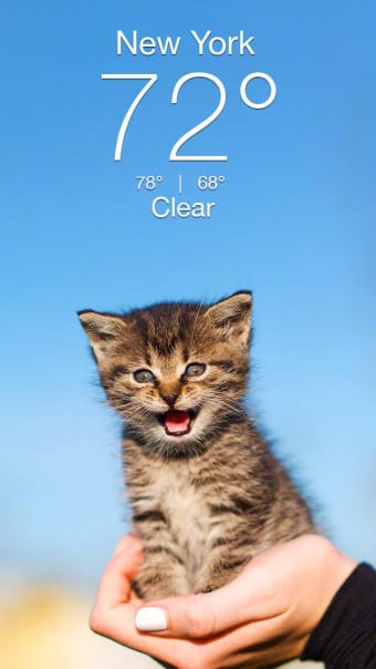 Weather Kitty - App  Widget Weather Forecast