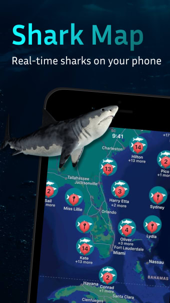 Shark Tracker: Shark Finder