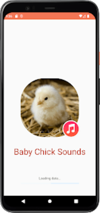Baby Chick Sounds