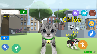 Cat Simulator Online