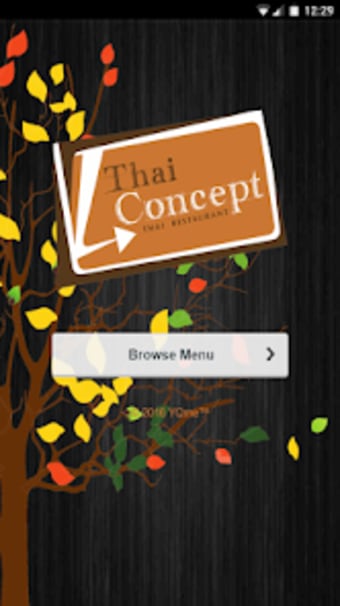 Thai Concept